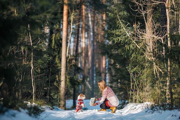 Een meisje in een trui geeft een Jack Russell Terrier-hond een cadeau Jack in een wintersparrenbos op het sneeuwkerstconcept