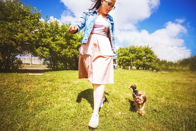 Een meisje loopt met een hond in het park. yorkshire terriër