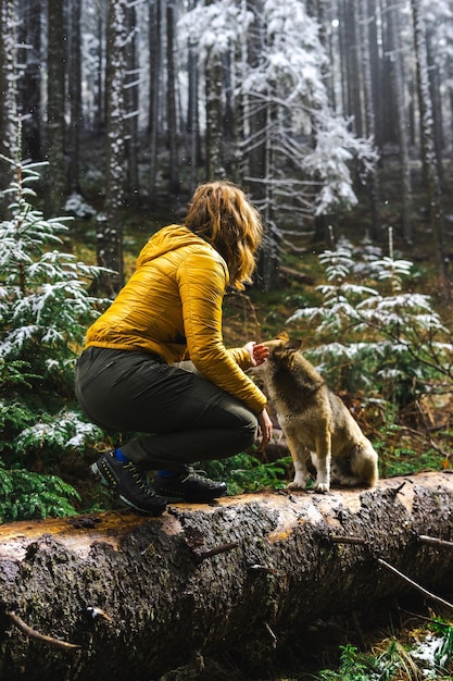 een meisje met een hond rusten reizen met huisdieren dennenbomen winter boswandelingen wintersport een fee