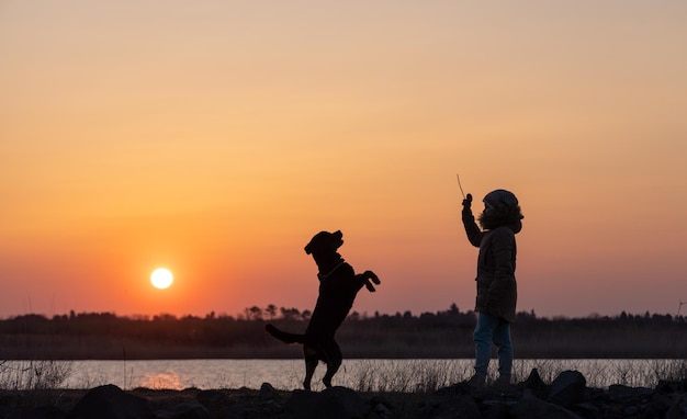 Een meisje speelt met een waakhond van het ras rottweiler tegen de achtergrond van een meer en zonsondergang