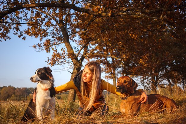 Een meisje, twee honden: Border Collie en Rhodesian Ridgeback zittend op het herfstgras. Gele natuur achtergrond