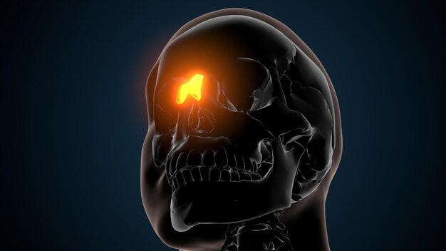 een menselijk hoofd met een gloeiend oranje licht erop