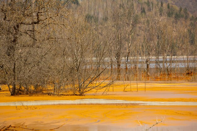 Een met giftig afval verontreinigd meer in de westelijke bergen van Roemenië Natuurvervuiling