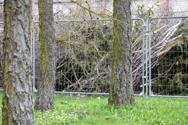 Een metalen hek met bomen erachter met de tekst "ik hou van bomen".