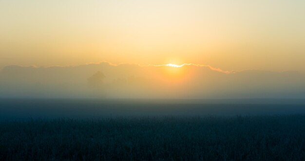 Een minimalistisch landschap van een mistige zonsopgang in de zomer met een verre horizon zomerlandschap