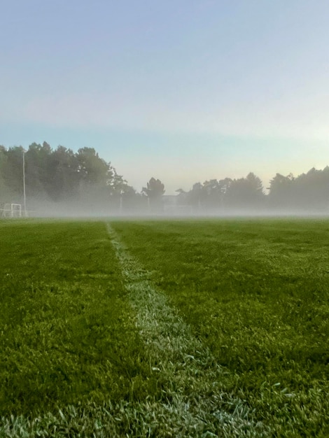 Een mistig voetbalveld Lage hoek van het groene gras van een voetbalveld Concept van een sportveld