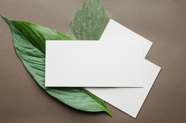 Een mock-up wit papier harmonieus versierd met een vers blad dat een delicate fusie onthult