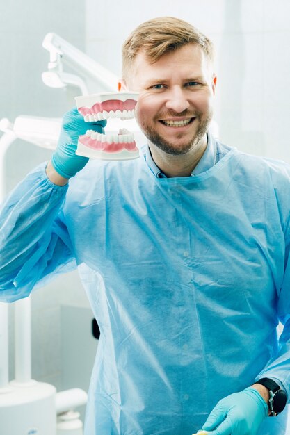 Een model van een menselijke kaak met tanden en een tandenborstel in de hand van de tandarts