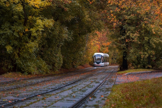 Een moderne stijltram gaat uit een dicht bos in de herfstkleuren Moskou Rusland