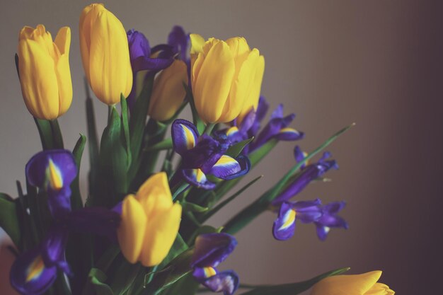 Een mooi boeket tulpen en viooltjes staat tegen een grijze achtergrond