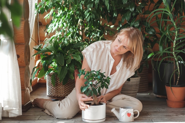 Een mooie blonde vrouw in beige kleding zorgt voor een ficus in een witte pot die thuis tuiniert en...