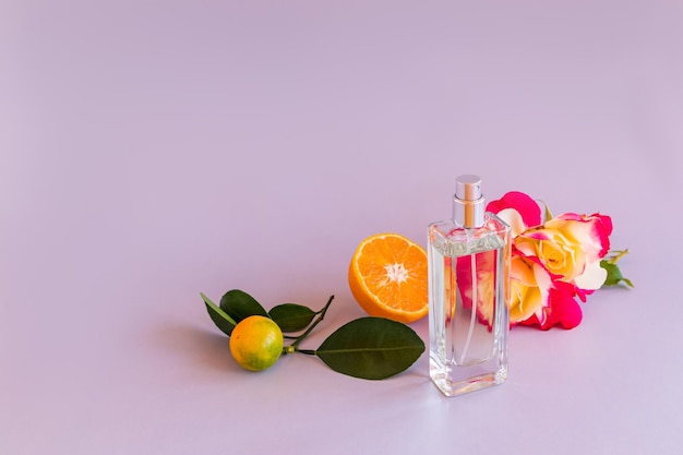 Een mooie compositie van een fles parfum gekleurde rozenschijfjes en mandarijnfruit op een pastelkleurige achtergrond een kopie van de ruimte naamloze fles