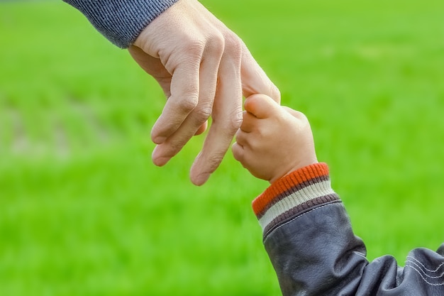 Een mooie handen van ouder en kind buiten in het park