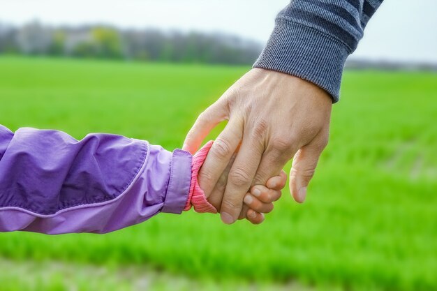 Een mooie handen van ouder en kind buiten in het park