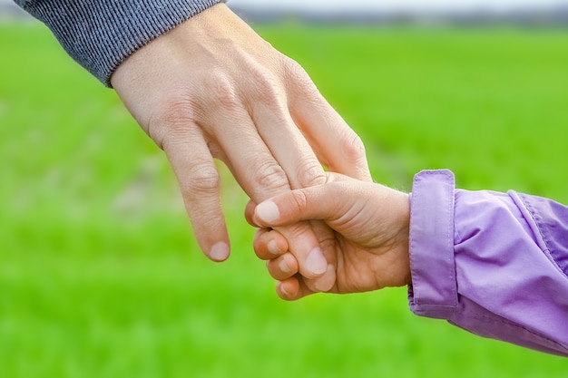 Een mooie handen van ouder en kind buiten in het park