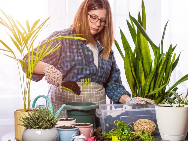 Een mooie meid bloemist plant kamerplanten in nieuwe potten een meisje zorgt voor planten een vrouw plant kamerplanten