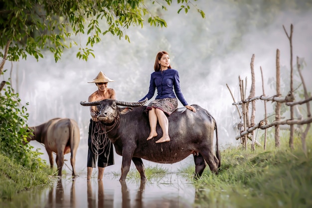 Een mooie Thaise vrouw zit op de rug van een buffel.