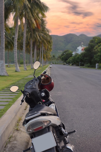 Foto een motor op de weg tussen palmbomen in vietnam tegen zonsondergang