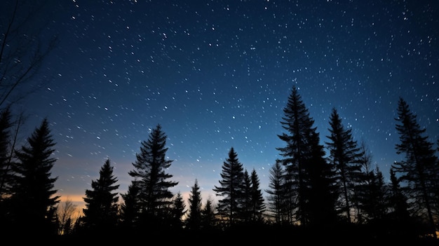 Een nachtelijke hemel met sterren en bomen op de voorgrond