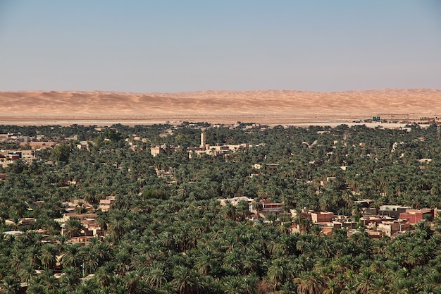 Een oase in de sahara-woestijn in het hart van afrika