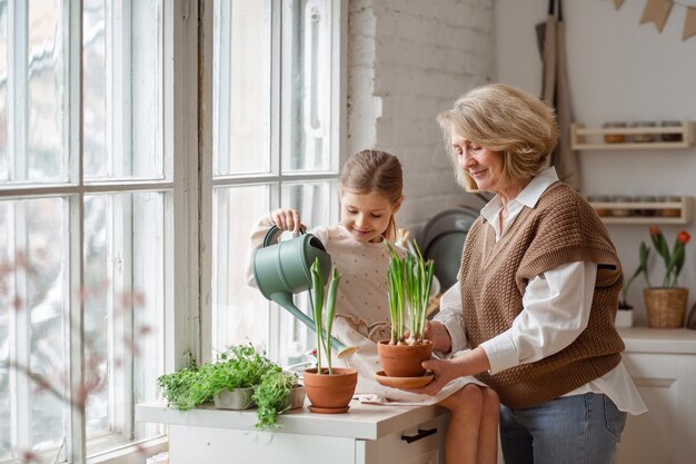 Een oma van een oudere vrouw en een kleindochter van een klein meisje verzorgen en planten potplanten