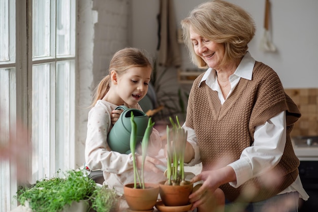 Een oma van een oudere vrouw en een kleindochter van een klein meisje verzorgen en planten potplanten