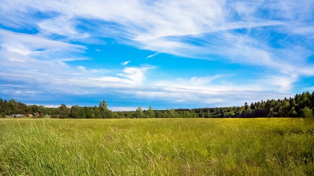 Een onontwikkeld veld en een zonnige hemel met wolken. Landelijk landschap