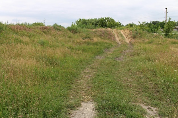 Een onverharde weg door een grasveld