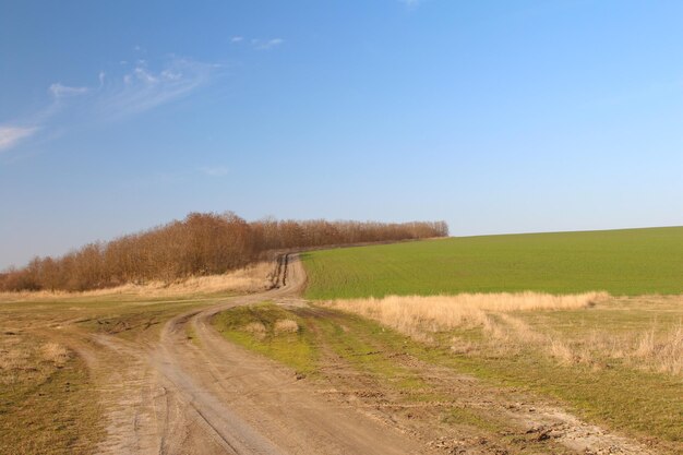 Een onverharde weg door een veld.