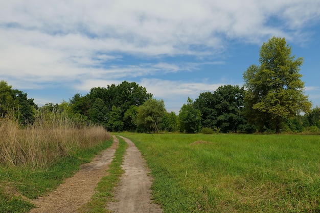 Een onverharde weg in een veld met een blauwe lucht en wolken