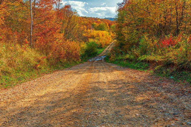 Een onverharde weg in het herfstbos in de maand oktober in de middag