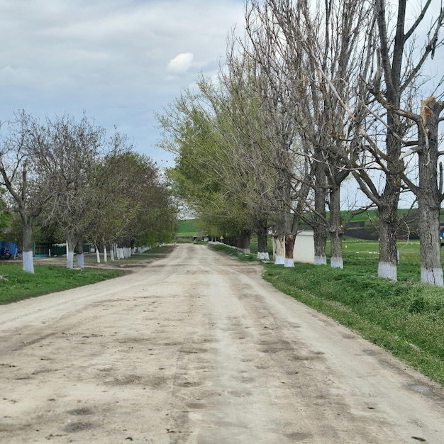 Een onverharde weg met aan de linkerkant een paar bomen en aan de rechterkant een blauw zeildoek.