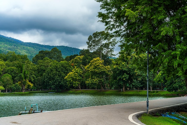 Een openbare plaats vrije tijd reizen asfalt zwart grijs weg landschap uitzicht op het meer bij ang kaew chiang mai university in de natuur doi suthep bos uitzicht op de bergen lente blauwe hemelachtergrond met witte wolk