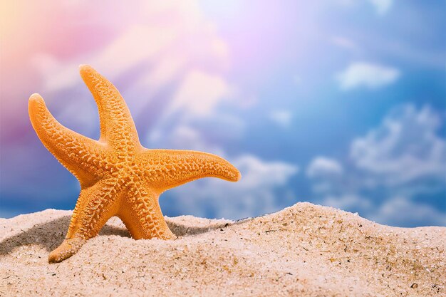 Een oranje zeester staat op het zandstrand. Zonnestralen zijn in de lucht.