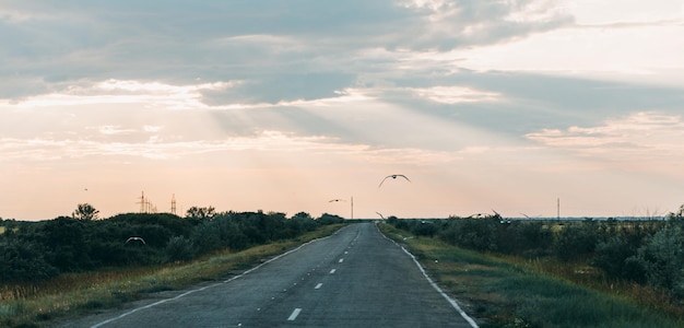 Foto een oude asfaltweg naar de zonsondergang silhouetten van vliegende vogels