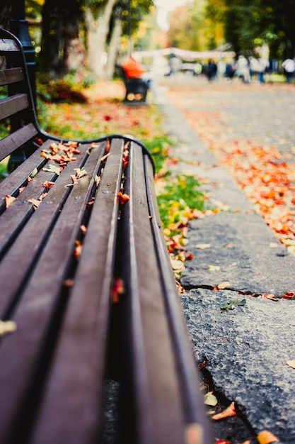 Een oude bank in een herfstpark bedekt met gevallen bladeren