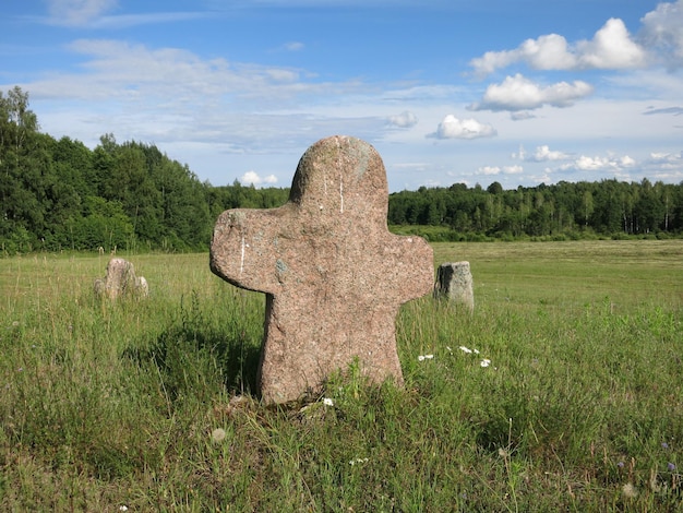 Een oude heidense begraafplaats in Wit-Rusland Steengrijs granieten kruis humanoid