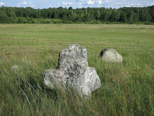 Een oude heidense begraafplaats in Wit-Rusland Steengrijs granieten kruis humanoïde op een groene weide in de zomer