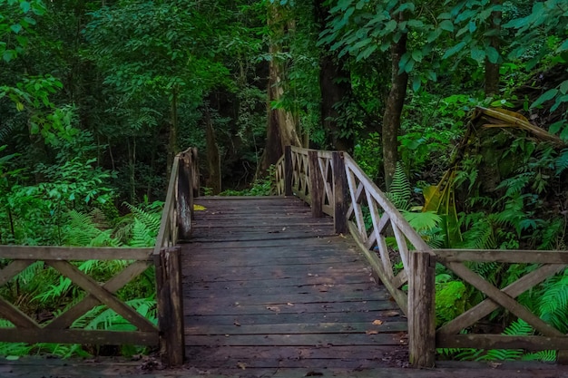 Een oude houten brug die zich uitstrekt in het bos om als natuurpad te dienen