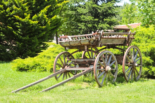 Een oude houten kar met grote wielen in de boerderij met bosachtergrond