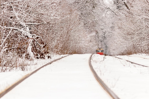 Een oude tram die door een winterbos rijdt