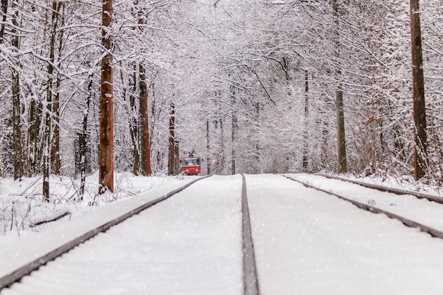 Een oude tram die door een winterbos rijdt