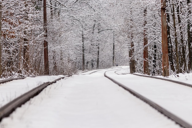 Een oude tram die door een winterbos rijdt