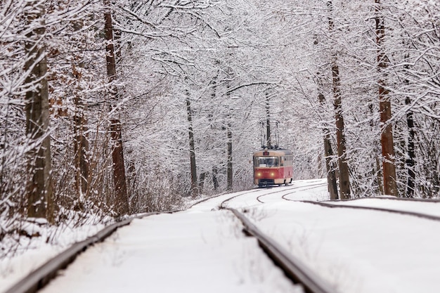 Een oude tram die door een winterbos rijdt