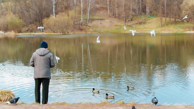 Een oudere man in jas en hoed die vogels en eenden voedt die op de kust in de buurt van water in de buitenlucht staan Achteraanzicht van eenzame man die meeuwen voedt, kopieert ruimte