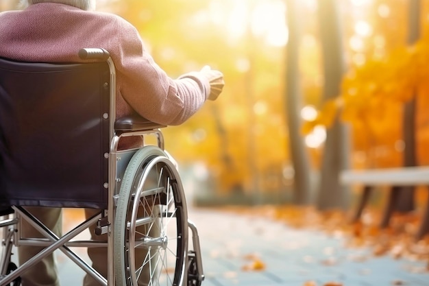 Een oudere persoon met een handicap in een rolstoel in een herfstpark Ouderdom Wandelen in een rolstoel in het park