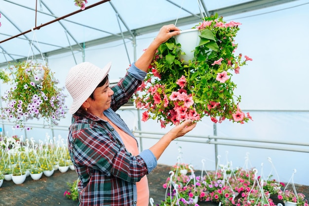 Een oudere vrouw die in een kas werkt, onderzoekt zorgvuldig de potten met bloemen in het zijaanzicht