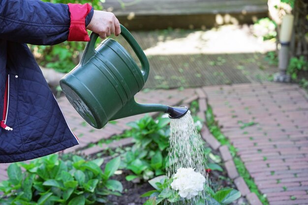 Een oudere vrouw geeft bloemen water in haar tuin