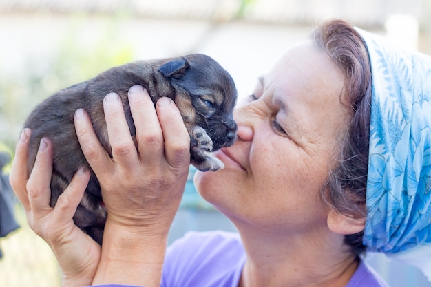 Een oudere vrouw houdt een kleine puppy bij haar gezicht en verheugt zich in haar schoonheid