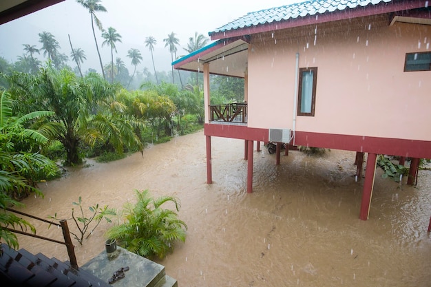 Een overstroomde straat met palmbomen en een huis op het eiland Koh Phangan in Thailand